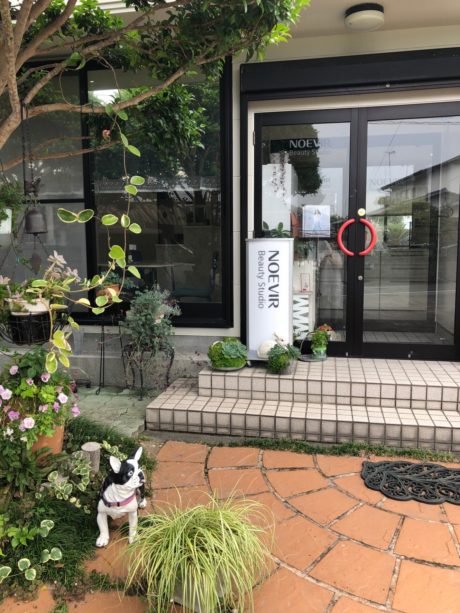 ノエビア新熊本販社