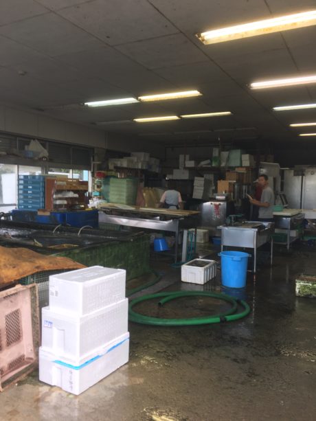 日奈久水産（株）