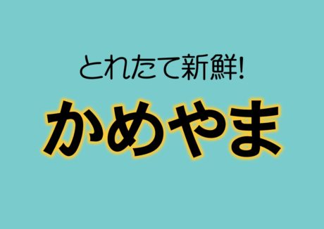（株）かめやま