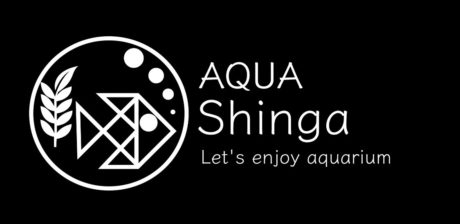 AQUA Shinga （アクア シンガ）